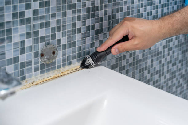 Best Toxic Mold Removal  in Willmar, MN